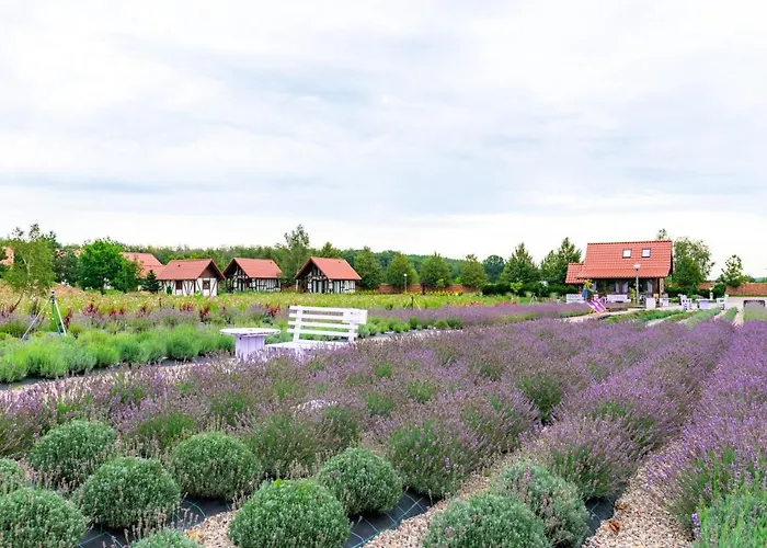 Дом отдыха Lawendowy Zakatek Machowino- Beate Устка